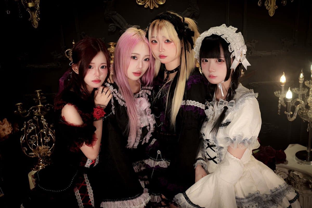 아니마 배너 이미지